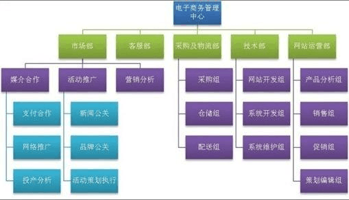 電子商務(wù)B2C團(tuán)隊(duì)組織架構(gòu)及平臺開發(fā)與運(yùn)營